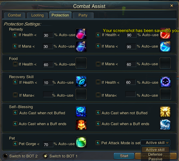 Protection tab — remedy, food, recovery skills, self-blessing and pet