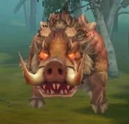 Vepri