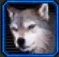 Volk